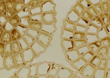 kaufen Hochgeschwindigkeitslieferung Lüftungstechnologie MBBR Träger Biochips Kommunalwasserbehandlung online manufacture