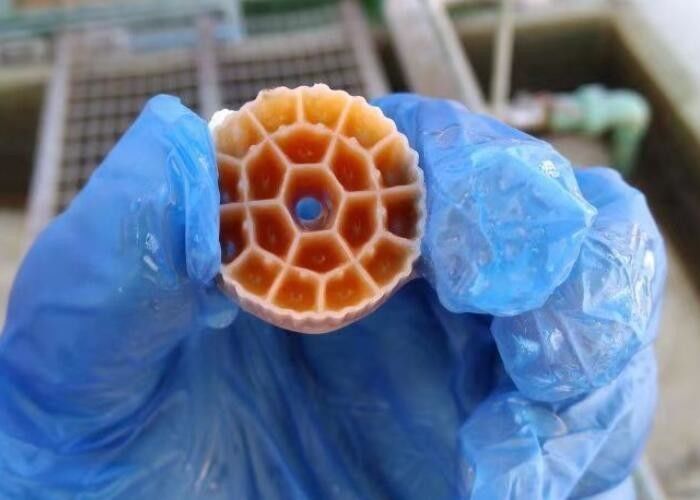 Abwasserbehandlung Biologische Biobälle Filtermedien Mbbr